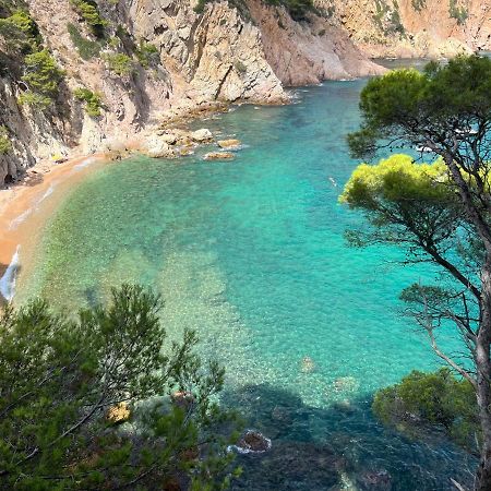 Zen Apartment Sea Views Tossa de Mar Exteriör bild