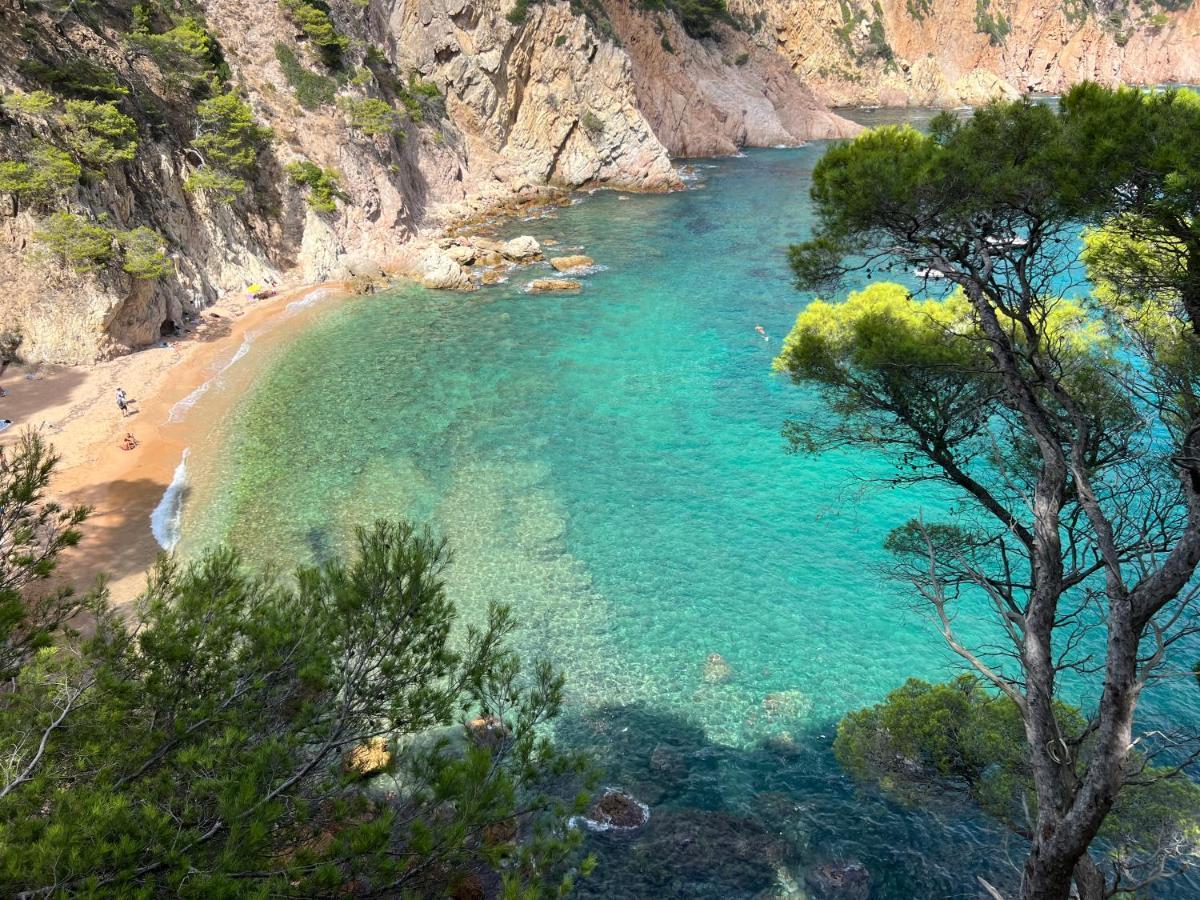 Zen Apartment Sea Views Tossa de Mar Exteriör bild